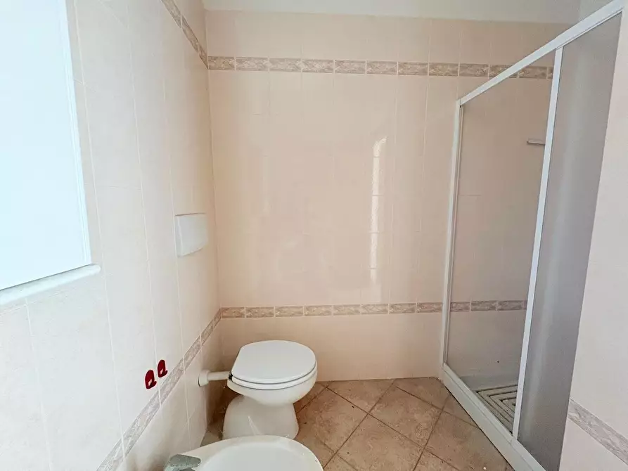 Immagine 17 di Appartamento in vendita  a Pisa