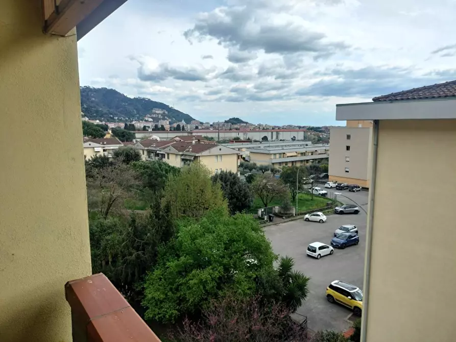 Immagine 17 di Appartamento in vendita  a Massa