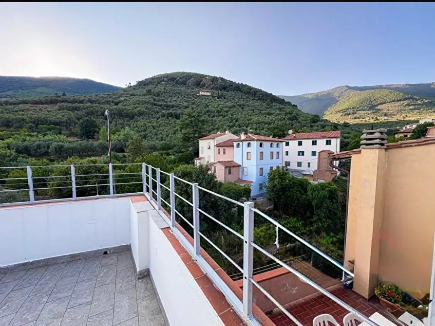 Immagine 2 di Terratetto in vendita  a Calci