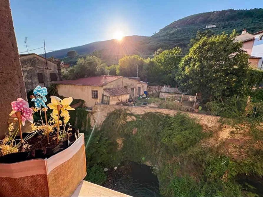 Immagine 3 di Terratetto in vendita  a Calci