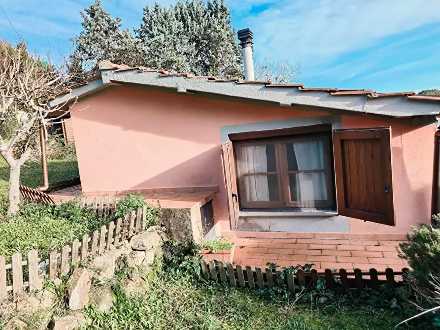 Immagine 13 di Terratetto in vendita  a Rosignano Marittimo