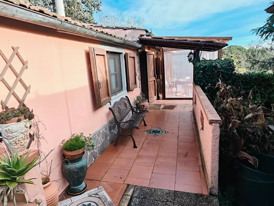 Immagine 2 di Terratetto in vendita  a Rosignano Marittimo