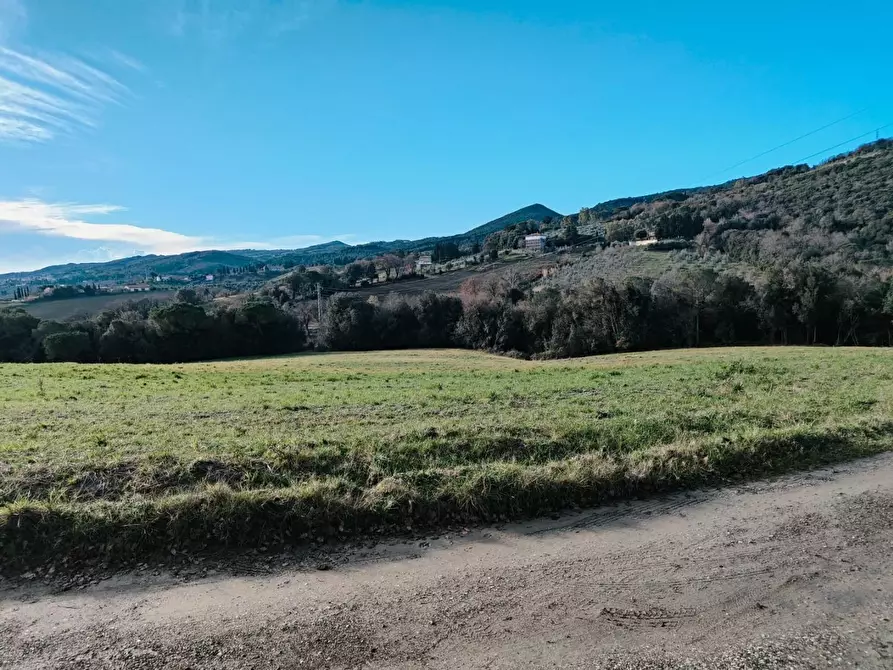 Immagine 29 di Terratetto in vendita  a Rosignano Marittimo