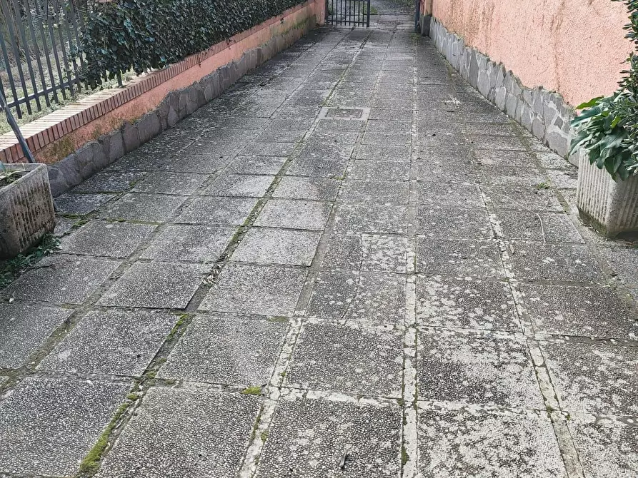 Immagine 7 di Terratetto in vendita  a Rosignano Marittimo