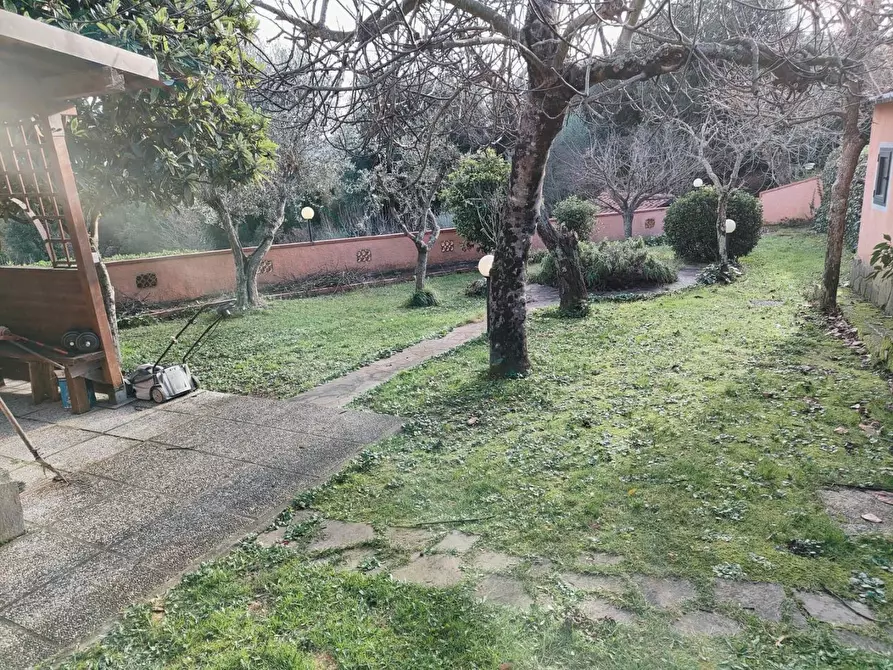 Immagine 9 di Terratetto in vendita  a Rosignano Marittimo