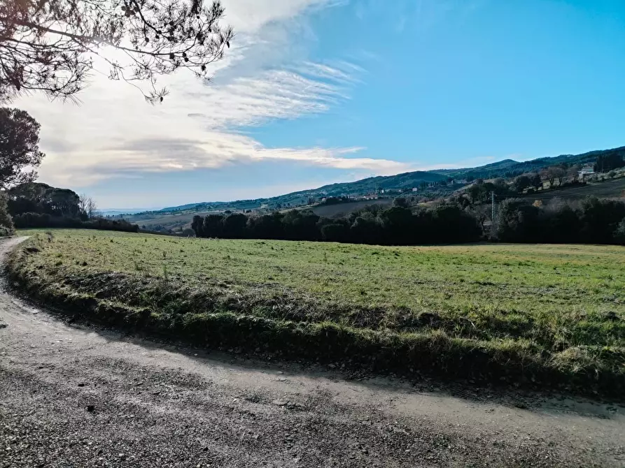 Immagine 14 di Terratetto in vendita  a Rosignano Marittimo