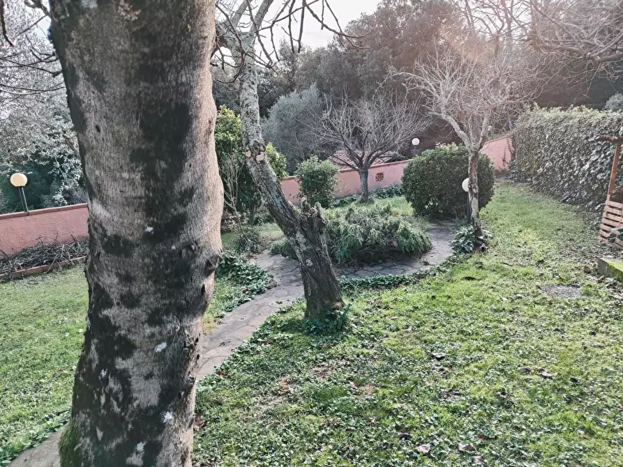 Immagine 8 di Terratetto in vendita  a Rosignano Marittimo