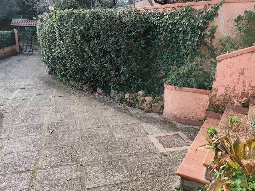 Immagine 5 di Terratetto in vendita  a Rosignano Marittimo