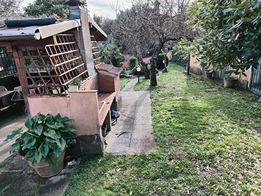 Immagine 10 di Terratetto in vendita  a Rosignano Marittimo