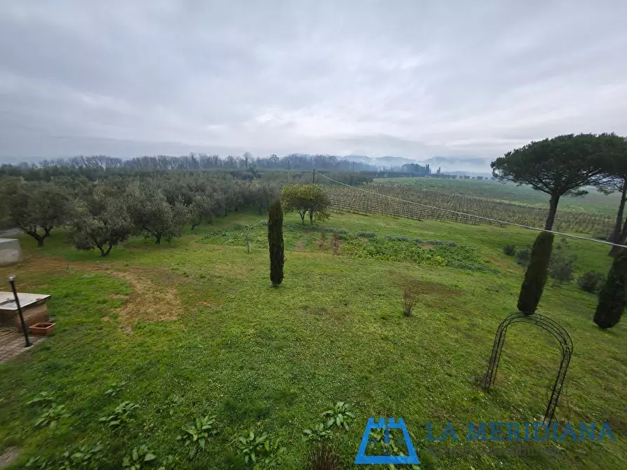 Immagine 37 di Terratetto in vendita  a Lamporecchio