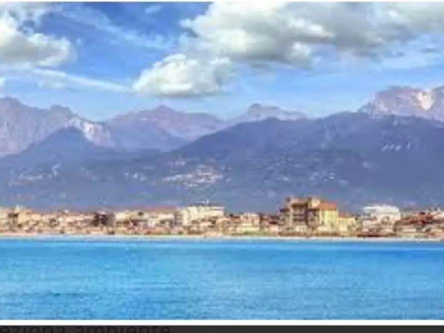 Immagine 4 di Terratetto in vendita  a Viareggio