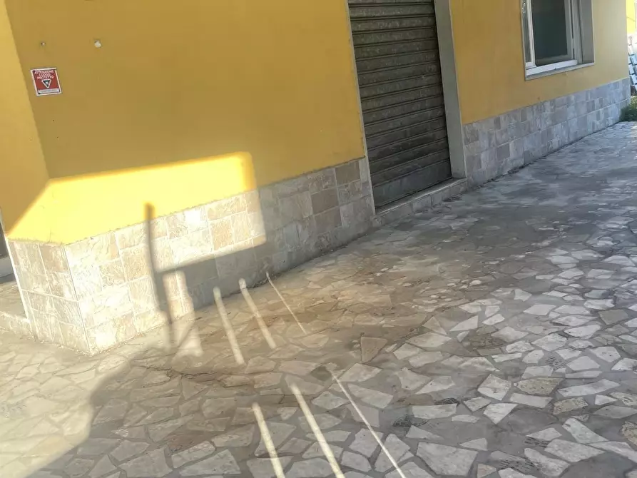 Immagine 6 di Casa indipendente in vendita  a Carrara