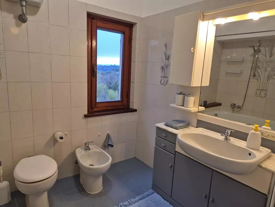 Immagine 11 di Appartamento in affitto  a Palaia