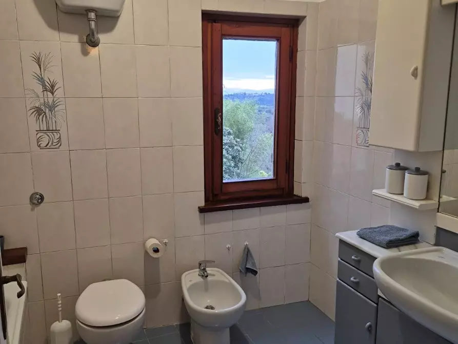 Immagine 8 di Appartamento in affitto  a Palaia