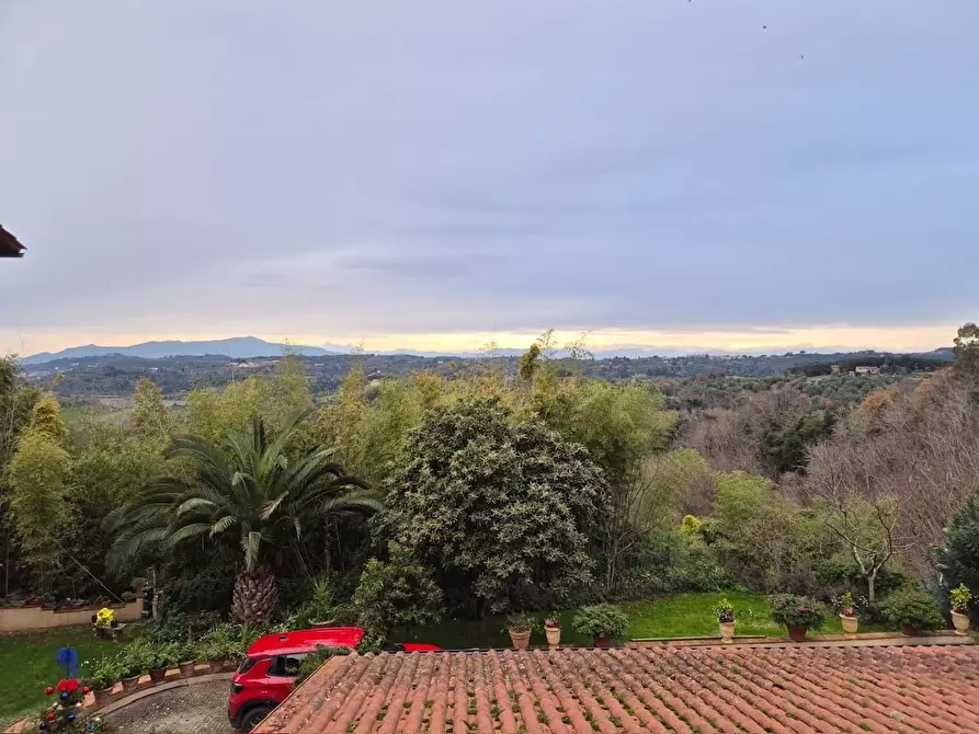 Immagine 16 di Appartamento in affitto  a Palaia