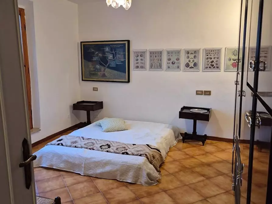 Immagine 14 di Appartamento in affitto  a Palaia