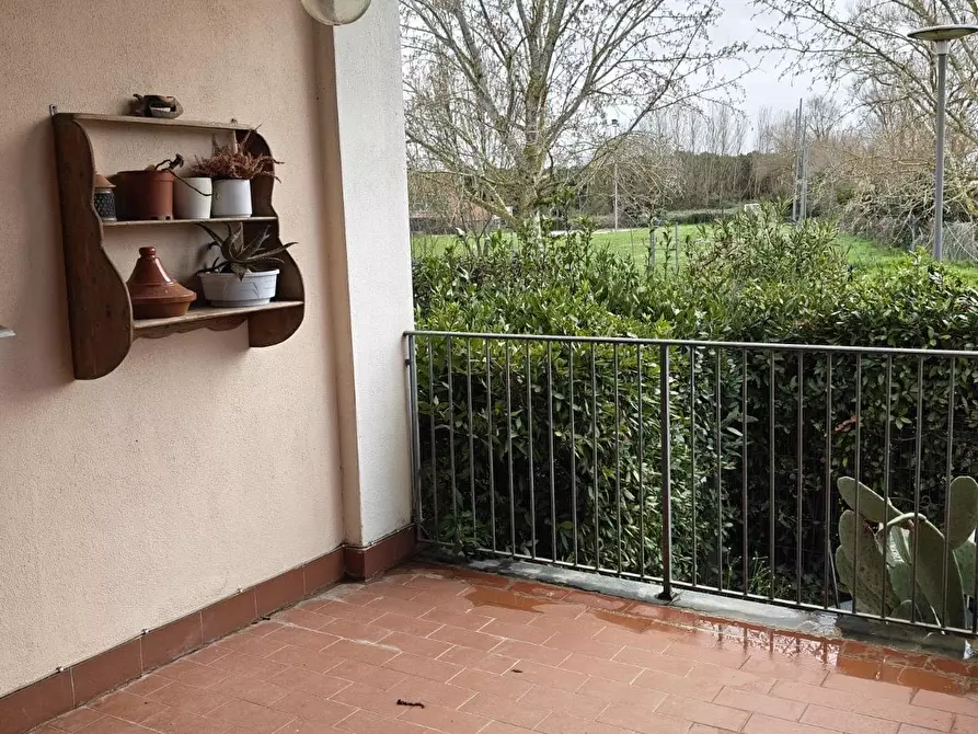 Immagine 34 di Casa bifamiliare in vendita  a Pisa