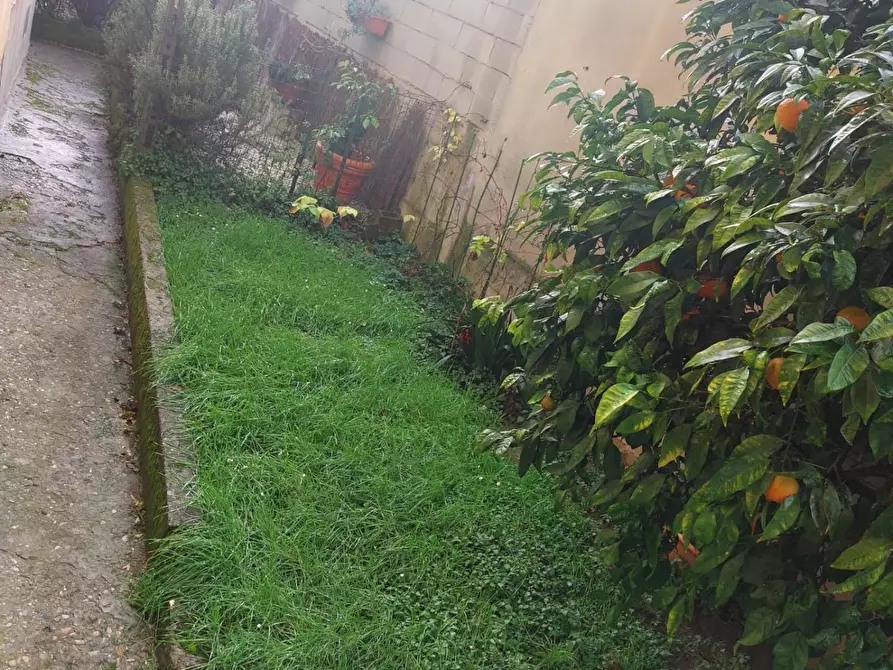 Immagine 18 di Appartamento in vendita  a Lastra A Signa