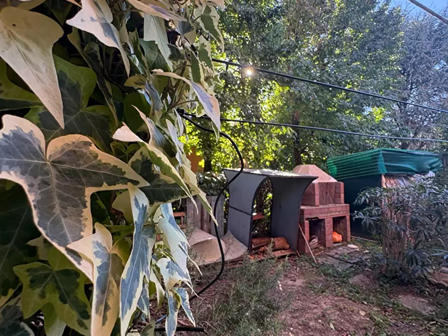 Immagine 16 di Appartamento in vendita  a Crespina Lorenzana