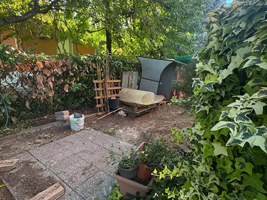 Immagine 17 di Appartamento in vendita  a Crespina Lorenzana