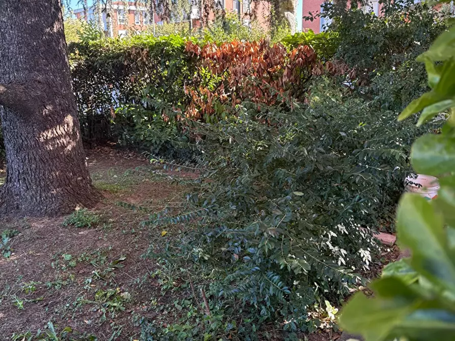 Immagine 19 di Appartamento in vendita  a Crespina Lorenzana