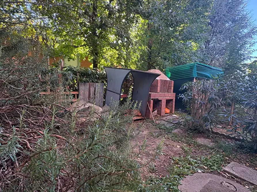 Immagine 18 di Appartamento in vendita  a Crespina Lorenzana