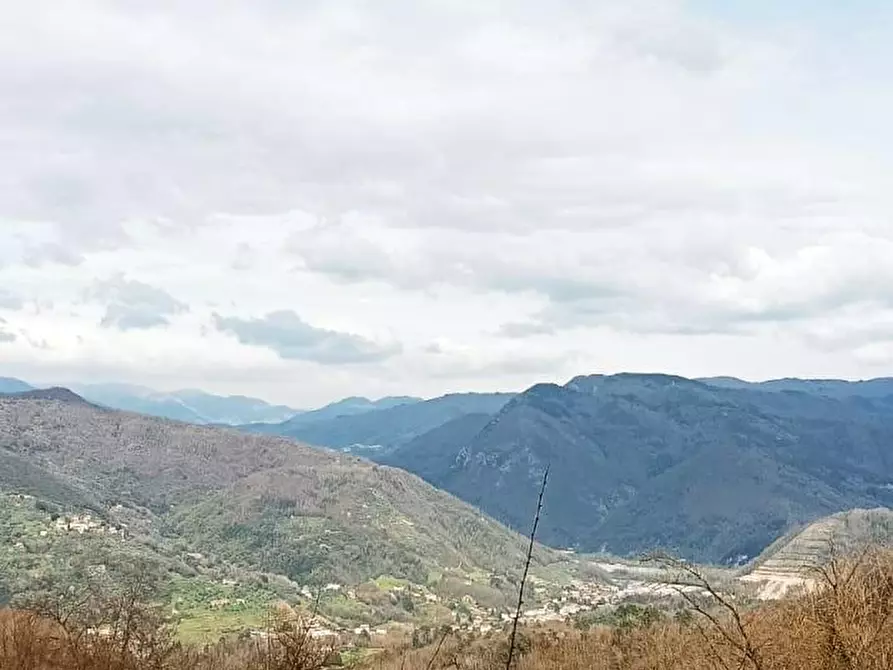 Immagine 16 di Locale commerciale in vendita  a Borgo A Mozzano