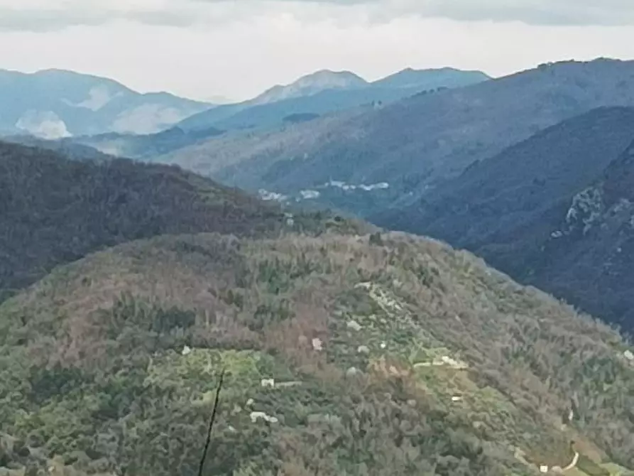 Immagine 15 di Locale commerciale in vendita  a Borgo A Mozzano