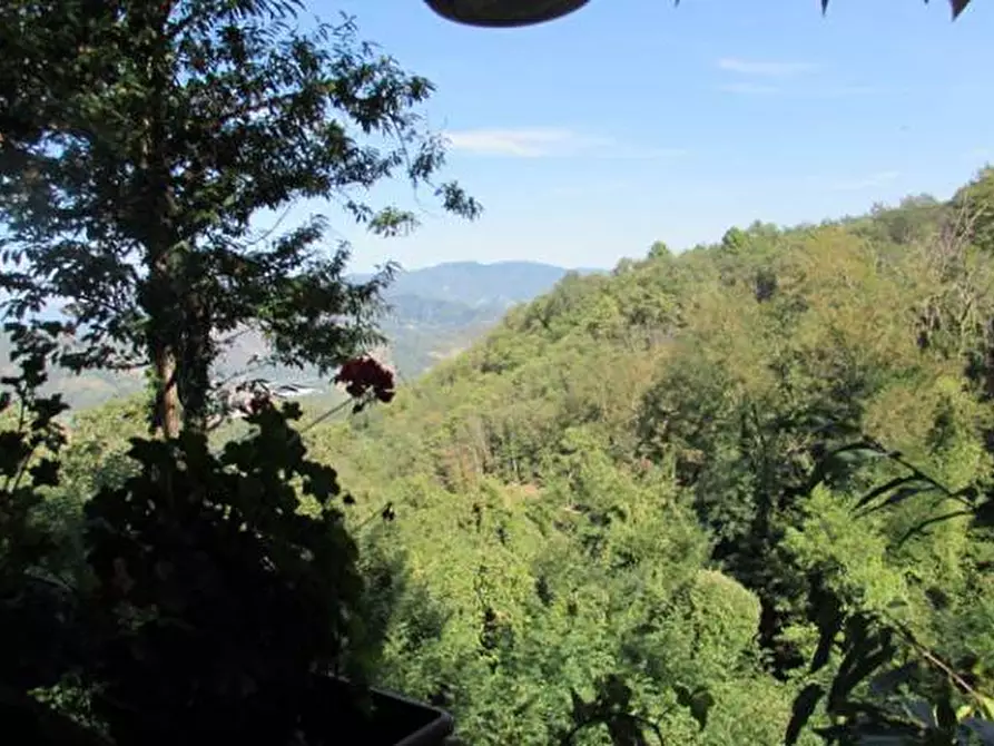 Immagine 2 di Locale commerciale in vendita  a Borgo A Mozzano