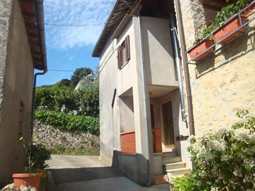 Immagine 2 di Terratetto in vendita  a Camaiore