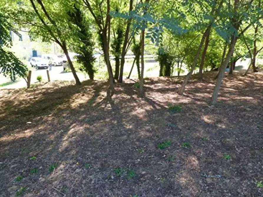 Immagine 5 di Rustico / casale in vendita  a Capannori