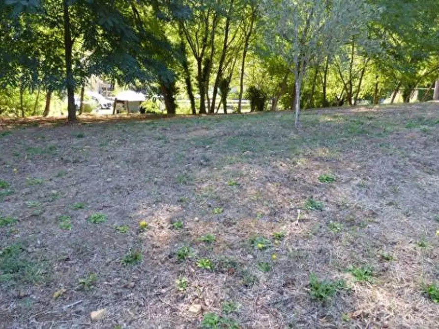 Immagine 2 di Rustico / casale in vendita  a Capannori