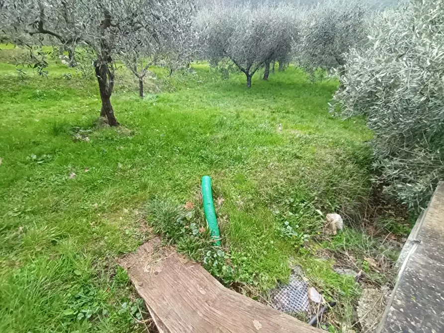 Immagine 19 di Villa in vendita  a Capannori