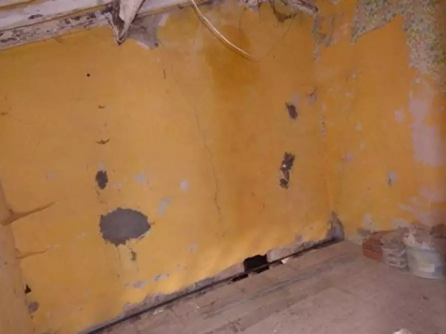 Immagine 5 di Terratetto in vendita  a Lucca