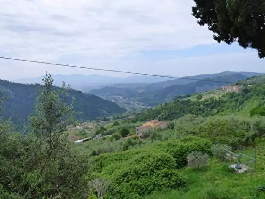 Immagine 10 di Terratetto in vendita  a Lucca