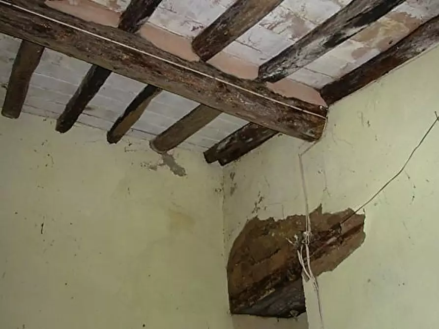 Immagine 20 di Terratetto in vendita  a Lucca