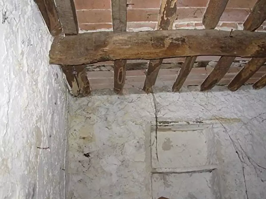 Immagine 14 di Terratetto in vendita  a Lucca