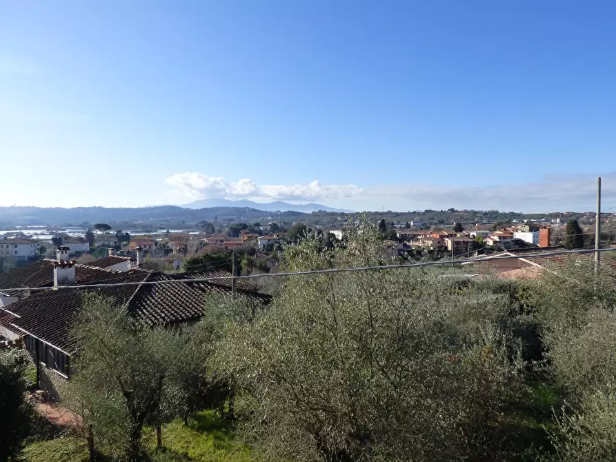 Immagine 2 di Rustico / casale in vendita  a Pescia