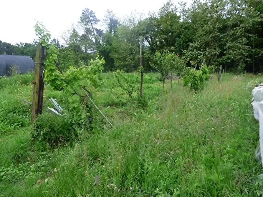 Immagine 7 di Terreno residenziale in vendita  a Capannori