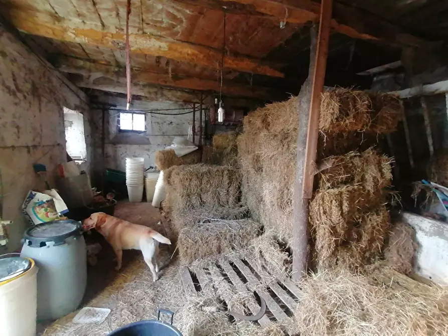 Immagine 24 di Rustico / casale in vendita  a Gallicano