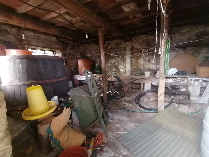 Immagine 7 di Rustico / casale in vendita  a Gallicano