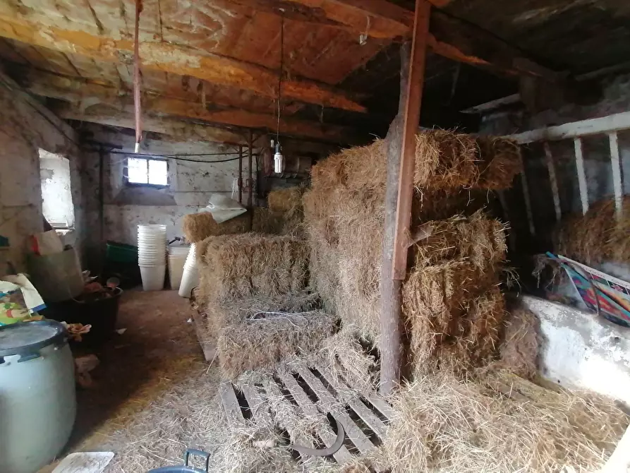 Immagine 23 di Rustico / casale in vendita  a Gallicano