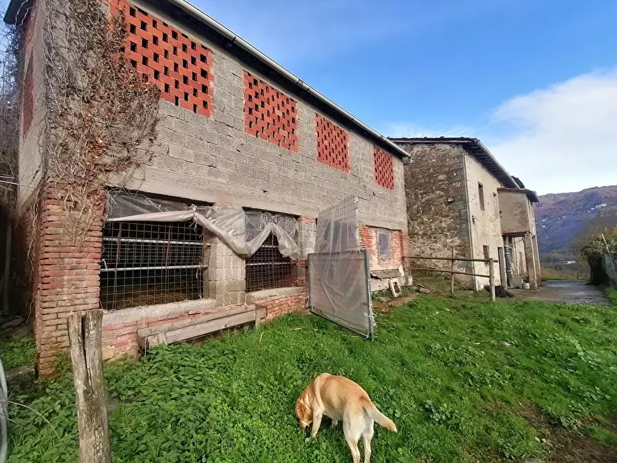 Immagine 8 di Rustico / casale in vendita  a Gallicano
