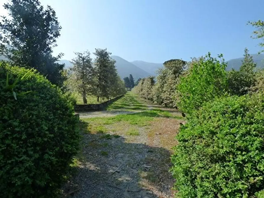 Immagine 4 di Rustico / casale in vendita  a Capannori