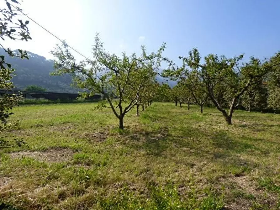 Immagine 27 di Rustico / casale in vendita  a Capannori