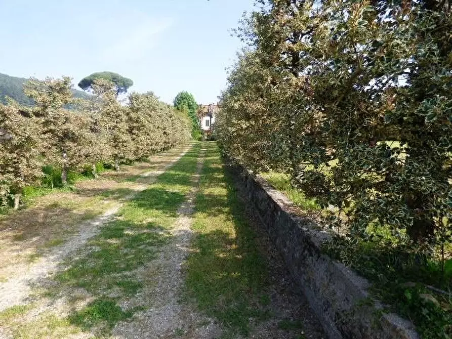 Immagine 28 di Rustico / casale in vendita  a Capannori