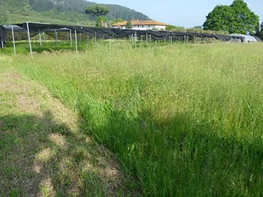 Immagine 32 di Rustico / casale in vendita  a Capannori