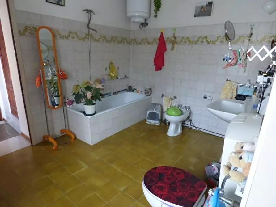 Immagine 22 di Rustico / casale in vendita  a Capannori