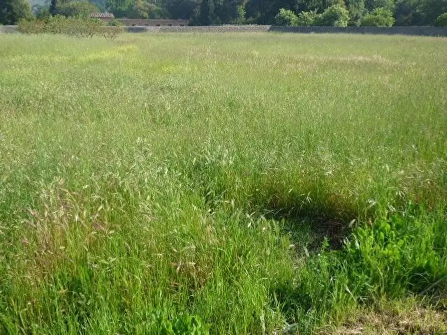Immagine 31 di Rustico / casale in vendita  a Capannori