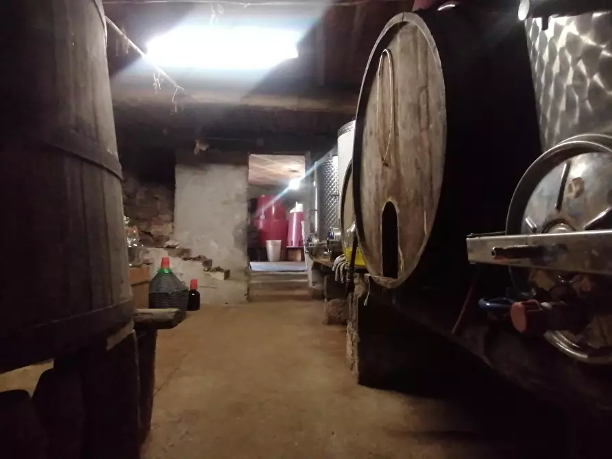 Immagine 37 di Rustico / casale in vendita  a Pescaglia